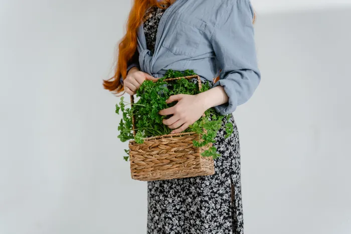 Keeping Indoor Herb Growing Affordable